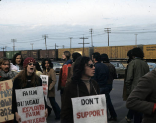 Labor and Union History